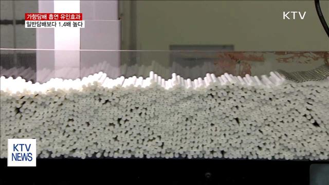 가향담배 흡연 유인효과, 일반담배보다 '1.4배'↑