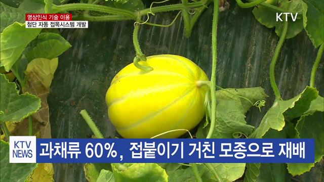 영상인식기술 이용한 첨단 자동 접목시스템 개발