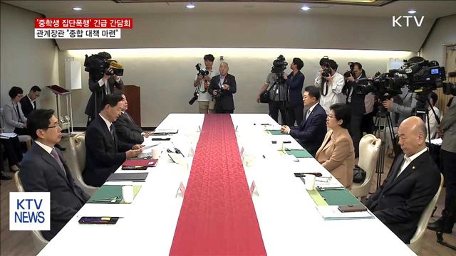 잇따른 10대 집단폭행…정부 "종합 대책 만들겠다"