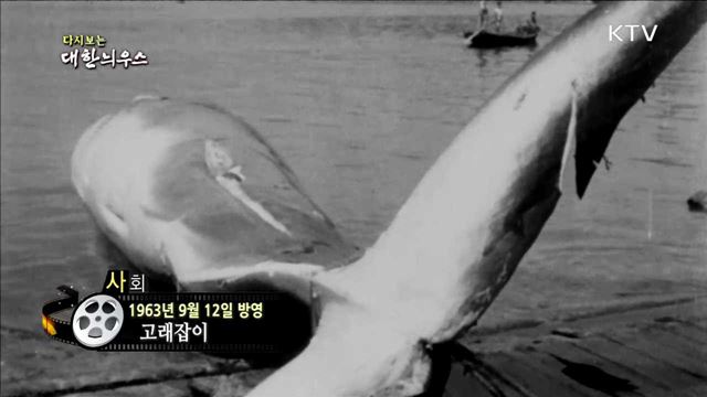 다시보는 대한늬우스 (63.09.12)