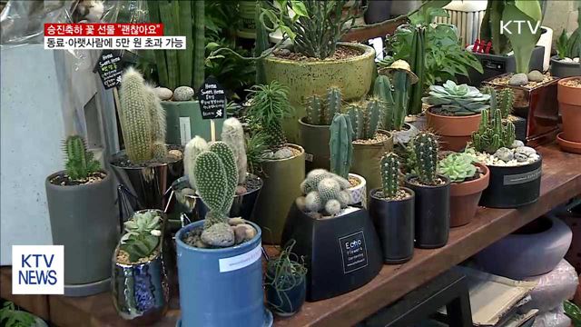 동료·아랫사람에 승진축하 꽃 선물 “괜찮아요”