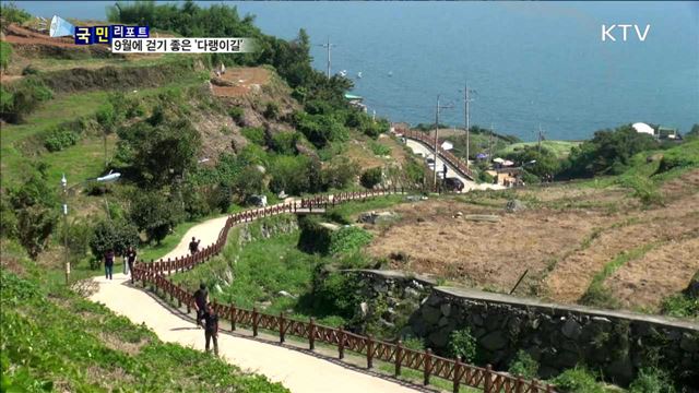 '9월에 걷기 좋은 여행길'…남해 다랭이길