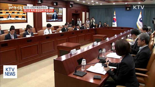 청소년 폭력 종합대책 연내 마련…사회관계장관회의 개최