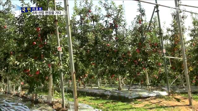 해피버스데이 타고 사과 농장을 가다