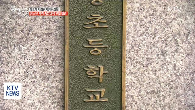 청소년 폭력 종합대책 연내 마련…사회관계장관회의 개최