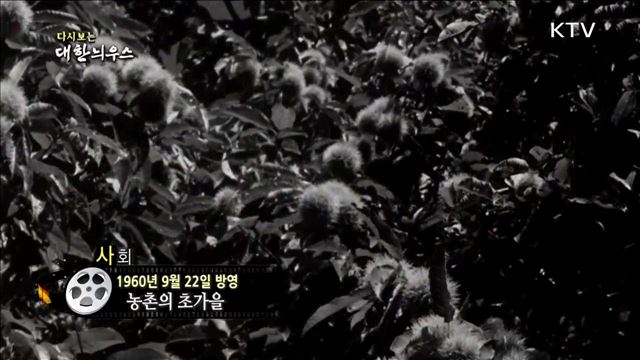 다시보는 대한늬우스 (60.09.22)