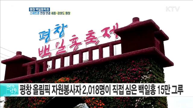 2018 평창 동계올림픽 성공 개최 기원···평창 백일홍축제