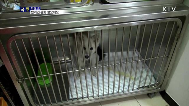 반려동물 인구 천만시대…걸맞는 문화 절실