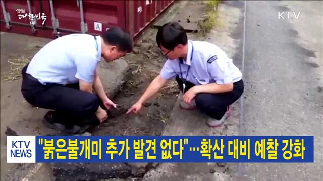 "붉은불개미 추가 발견 없다"…확산 대비 예찰 강화