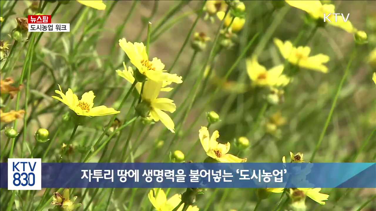 자투리 땅에 생명력을 불어넣는 '도시농업' [뉴스팜]