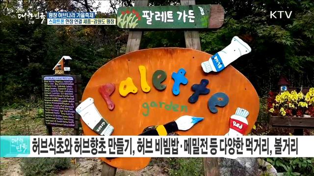 다양한 즐길 거리가 있는 허브 여행! 평창 허브나라 가을축제