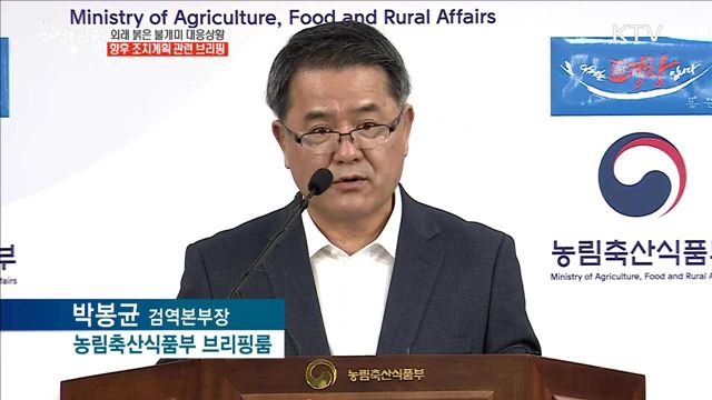 외래 붉은 불개미 대응상황 향후 조치계획 관련 브리핑