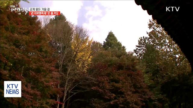 곱게 물든 가을길…'걷기여행축제'로 즐겨요