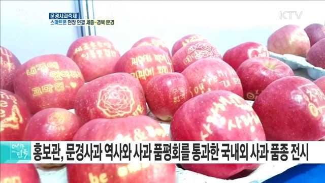 문경사과축제