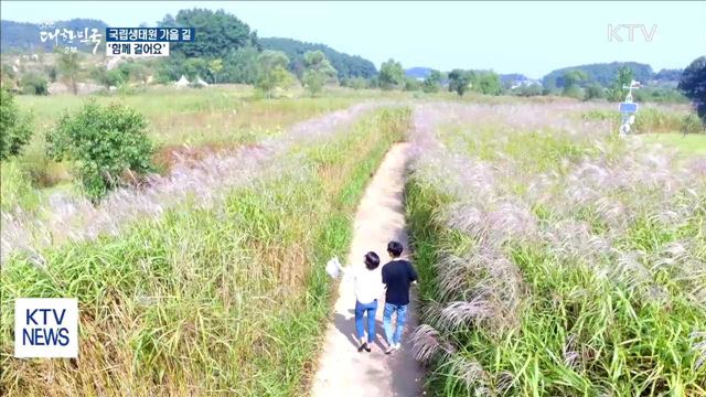 국립생태원 가을길, 함께 걸어요