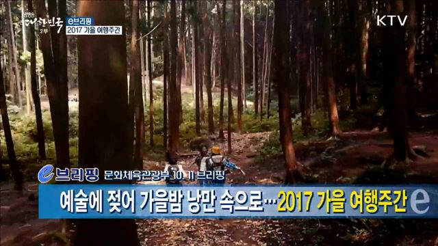 예술에 젖어 가을밤 낭만 속으로···2017 가을 여행주간 [e 브리핑]