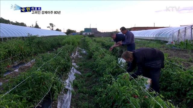 "역경을 딛고"…고려인, 강제이주 80년