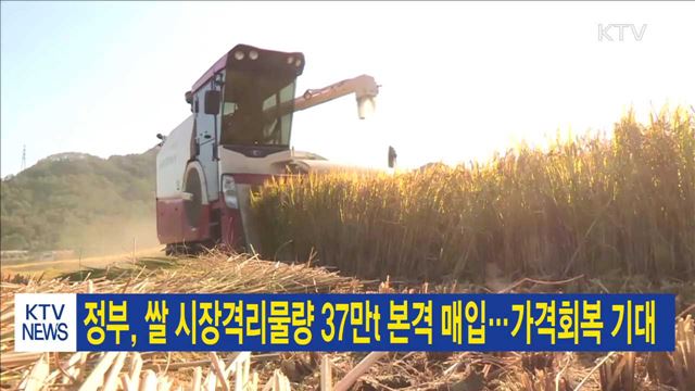정부, 쌀 시장격리물량 37만t 본격 매입…가격회복 기대