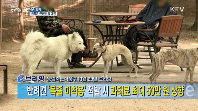 반려견 안전관리 대책 [e 브리핑]