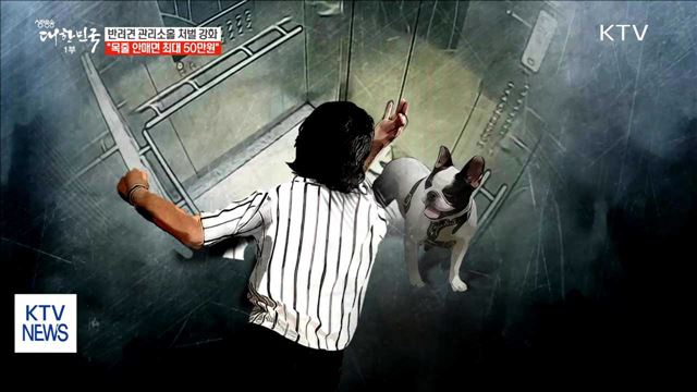 반려견 관리소홀 처벌 강화…"목줄 안매면 최대 50만원"