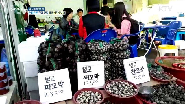 갯벌과 벌교문화의 만남! 벌교꼬막축제