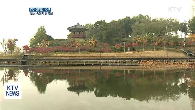 도심 속에서 단풍을…걷기여행길 10선 선정