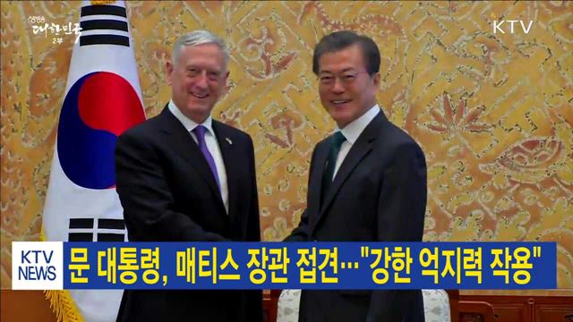문 대통령, 매티스 장관 접견…"강한 억지력 작용"