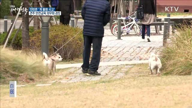 잇따른 '개 물림 사고'… 처벌 강화·안전교육 검토