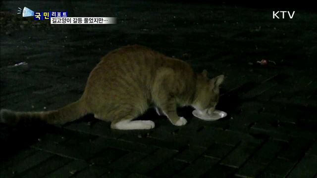 길고양이 100만 시대..."당국 대책 주민 떠넘겨"