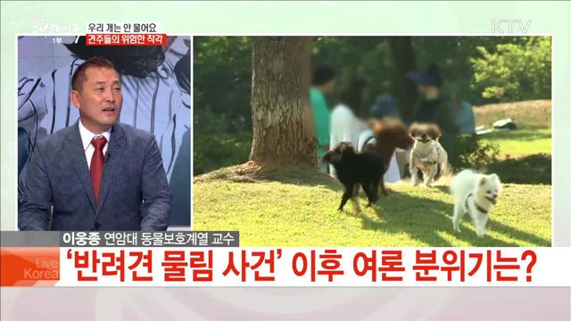 우리 개는 안 물어요 견주들의 위험한 착각