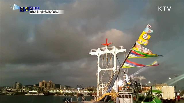 목포항 앞바다 '파시'…관광객 인기몰이