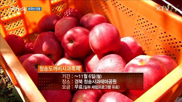 오색빛깔 가을 막바지 정취 즐기는 '만추 여행지' [문화 브리핑]