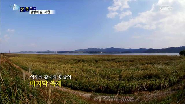 생명의 땅, 서천 [한국의 美]