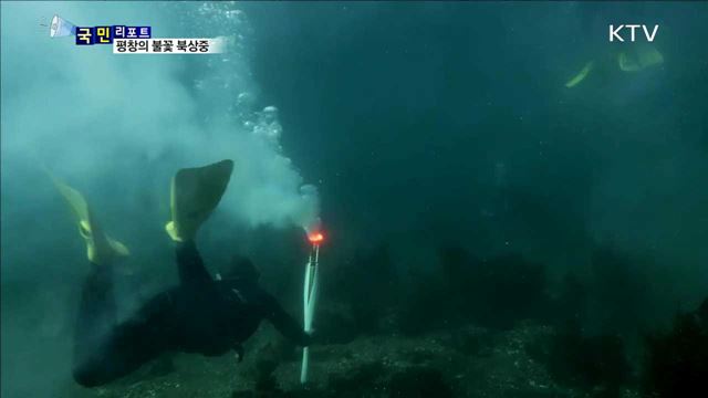 평창 성화봉송 대장정…축하·환호 물결