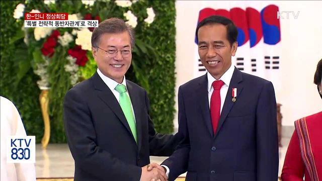 한-인니 정상회담…'특별 전략적 동반자관계'로 격상