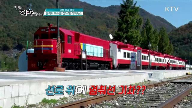 아이스하키를 이끄는 용감한 국가대표 형제! 신상우, 신상훈 형제