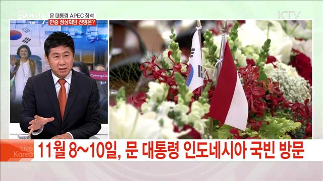 문 대통령 APEC 참석 한중 정상회담 전망은?