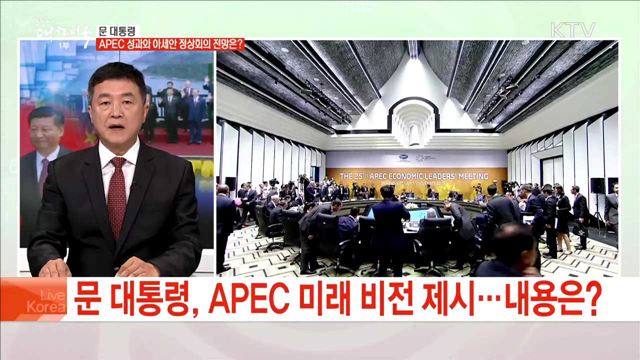 문 대통령  APEC 성과와 아세안 정상회의 전망은?