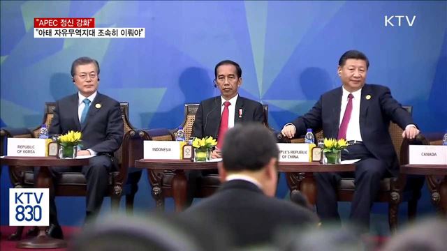 "APEC 정신 강화…아태 자유무역지대 조속히 이뤄야"
