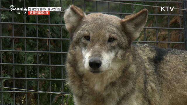 동물원 동물복지를 구현하는 '동물원큐레이터' [사람中心 일자리가 뜬다]