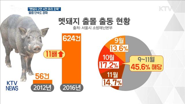 "멧돼지 2만 4천 마리 포획"…밀렵 단속도 강화