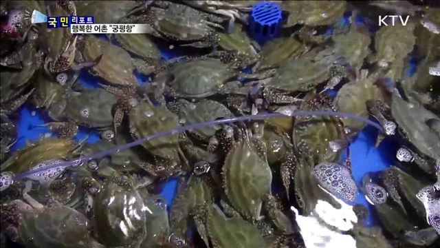 "볼거리·먹거리 풍성"…어촌의 미래 "궁평항"