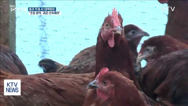 이 총리 "AI 초동 방역, 과감하고 신속해야"