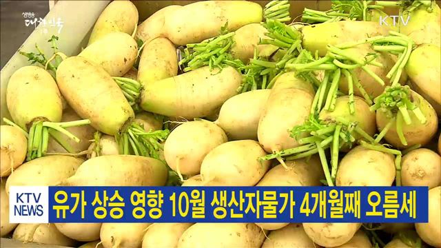 유가 상승 영향 10월 생산자물가 4개월째 오름세