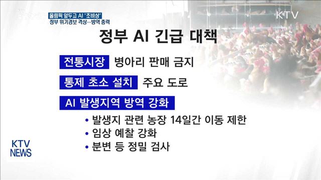 올림픽 앞두고 AI '초비상'…정부 초기대응 총력