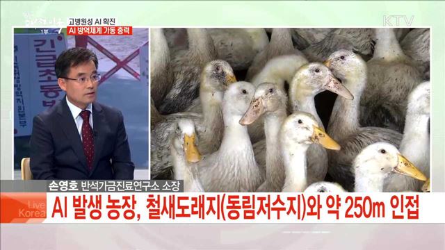 고병원성 AI확진  AI  방역체계 가동 총력