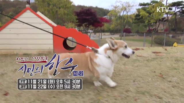 12회 예고 - 반려동물 천만 시대! 올바른 문화 함께 만들어요 