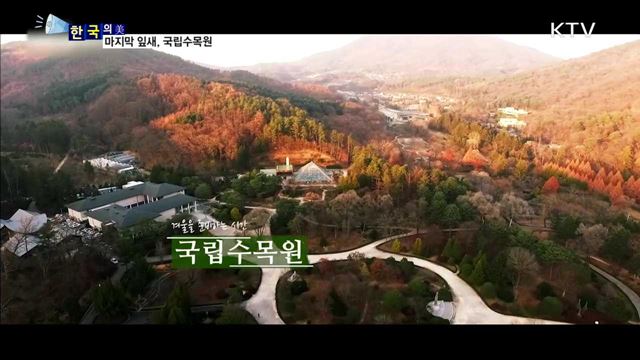 마지막 잎새, 국립수목원 [한국의 美]