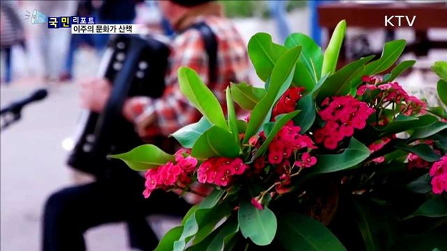 이 주의 문화가 산책