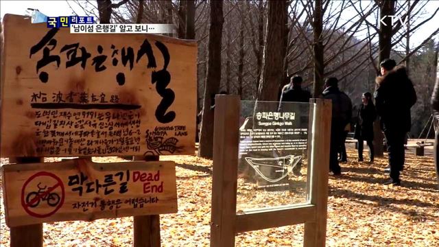 처치 힘든 도시 은행잎, 관광지에서 재탄생